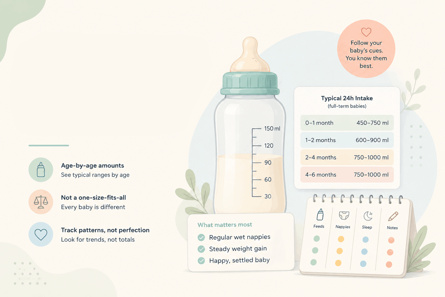 Editorial illustration of a baby bottle beside an age-banded feeding card for first days, first month and 2-6 months